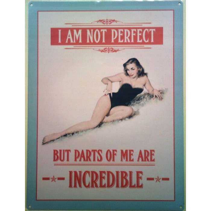 Plaque Pin Up I Am Not Perfect Tole Sexy Affiche Metal Retro 